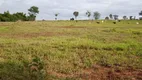 Foto 15 de Fazenda/Sítio com 2 Quartos à venda, 1064800m² em Zona Rural, Monte Alegre de Minas