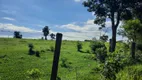 Foto 3 de Fazenda/Sítio à venda, 145200m² em Zona Rural, Porangaba