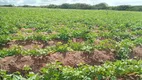 Foto 20 de Fazenda/Sítio com 3 Quartos à venda, 44000m² em Centro, Touros