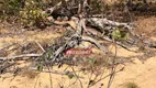 Foto 15 de Fazenda/Sítio à venda, 4646m² em Zona Rural, Colinas do Sul