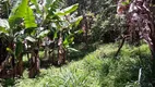 Foto 5 de Fazenda/Sítio com 2 Quartos à venda, 2800m² em Parque Guarani, Juiz de Fora