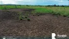 Foto 6 de Fazenda/Sítio à venda, 1000m² em Zona Rural, Arapoema