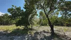 Foto 6 de Fazenda/Sítio à venda, 41m² em Zona Rural, Goiás