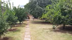 Foto 18 de Fazenda/Sítio com 3 Quartos à venda, 2500m² em VILA VIRGINIA, Ribeirão Preto