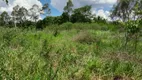 Foto 63 de Fazenda/Sítio com 3 Quartos à venda, 345000m² em Area Rural de Aguas Lindas de Goias, Águas Lindas de Goiás