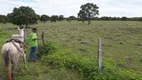 Foto 6 de Fazenda/Sítio à venda, 40000m² em Zona Rural, Araguapaz