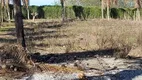 Foto 9 de Fazenda/Sítio à venda, 1m² em Parque Aeroporto, Campos dos Goytacazes