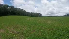 Foto 7 de Fazenda/Sítio à venda, 480000m² em Tranqueira, Almirante Tamandaré