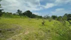 Foto 9 de Lote/Terreno à venda, 6354m² em Area Rural de Biguacu, Biguaçu