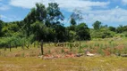 Foto 22 de Fazenda/Sítio com 3 Quartos à venda, 5065m² em Usina Três Bocas, Londrina