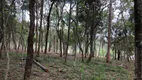 Foto 45 de Lote/Terreno à venda, 130000m² em dos Pires Caucaia do Alto, Cotia