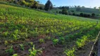 Foto 5 de Fazenda/Sítio com 2 Quartos à venda, 5000m² em Centro, Camanducaia