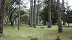 Foto 30 de Fazenda/Sítio com 3 Quartos à venda, 168000m² em Salgadinho, Campo Largo