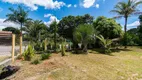 Foto 4 de Fazenda/Sítio com 5 Quartos à venda, 300m² em Jardim Esmeralda, Pirenópolis