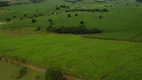 Foto 35 de Fazenda/Sítio com 2 Quartos à venda, 65m² em Zona Rural, Quadra