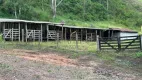 Foto 30 de Fazenda/Sítio com 5 Quartos à venda, 600m² em Pião, Piracaia