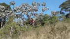 Foto 12 de Lote/Terreno à venda, 30000m² em Centro, Natividade da Serra