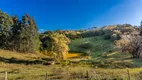 Foto 20 de Fazenda/Sítio com 6 Quartos à venda, 33900m² em Capela Velha, Araucária