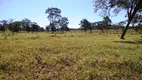 Foto 34 de Fazenda/Sítio com 3 Quartos à venda, 1064800m² em Zona Rural, Bela Vista de Goiás