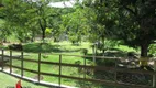 Foto 11 de Fazenda/Sítio com 3 Quartos à venda, 116000m² em Agro Brasil, Cachoeiras de Macacu