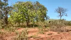 Foto 8 de Lote/Terreno à venda, 20000m² em Zona Rural, Jequitibá