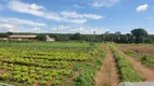 Foto 3 de Fazenda/Sítio com 2 Quartos à venda, 47000m² em , Abadia de Goiás