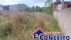 Foto 13 de Lote/Terreno à venda, 264m² em Santa Teresinha, Imbé