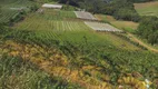 Foto 5 de Lote/Terreno à venda, 20000m² em Sao Pedro, Bento Gonçalves