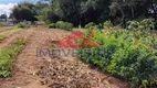 Foto 13 de Fazenda/Sítio com 3 Quartos para alugar, 200m² em Capinzal, Araucária