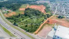 Foto 10 de Lote/Terreno à venda, 15878m² em Iguaçu, Fazenda Rio Grande