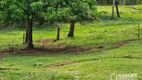 Foto 14 de Fazenda/Sítio com 3 Quartos à venda, 100m² em Agua Boa, Paiçandu