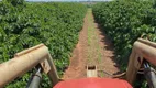 Foto 4 de Fazenda/Sítio à venda em Zona Rural, Monte Alegre de Minas