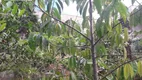 Foto 38 de Fazenda/Sítio com 2 Quartos à venda, 90m² em Jardins, Bragança Paulista