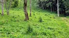 Foto 6 de Fazenda/Sítio com 1 Quarto à venda, 10m² em Centro, Cambuí