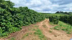 Foto 16 de Fazenda/Sítio à venda, 455000m² em Zona Rural, Turvolândia