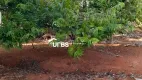 Foto 7 de Fazenda/Sítio com 6 Quartos à venda, 50000m² em Sitios Olhos D agua, Senador Canedo