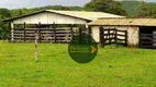 Foto 15 de Fazenda/Sítio à venda, 4065600m² em Zona Rural, Faina