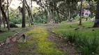 Foto 13 de Fazenda/Sítio com 4 Quartos à venda, 7800m² em Campestre da Faxina, São José dos Pinhais