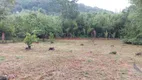 Foto 13 de Lote/Terreno à venda, 5577m² em Armação do Pântano do Sul, Florianópolis