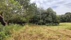 Foto 21 de Lote/Terreno à venda, 5000m² em Vila Delurdes, Campo Largo