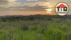 Foto 5 de Fazenda/Sítio à venda, 10357600m² em , Goianésia do Pará