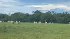 Foto 24 de Fazenda/Sítio com 3 Quartos à venda, 10m² em Zona Rural, Cocalinho