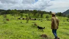 Foto 6 de Fazenda/Sítio com 6 Quartos à venda, 1100000m² em Zona Rural, Passa Tempo