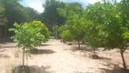 Foto 12 de Fazenda/Sítio com 3 Quartos à venda, 3000m² em  Zona Rural, Teresina