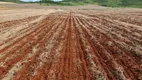 Foto 5 de Fazenda/Sítio à venda em Centro, Iepê