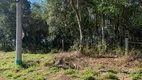 Foto 5 de Lote/Terreno à venda, 7413m² em Fiuza, Viamão