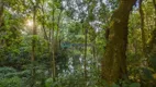 Foto 21 de Lote/Terreno à venda, 560000m² em Parque Residencial Itapeti, Mogi das Cruzes