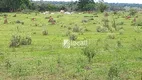 Foto 12 de Fazenda/Sítio com 1 Quarto à venda, 120m² em , Ribas do Rio Pardo