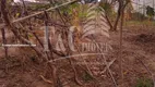 Foto 5 de Fazenda/Sítio com 2 Quartos à venda, 1200m² em Loiola, Limeira