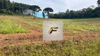 Foto 4 de Fazenda/Sítio com 3 Quartos à venda, 164318m² em Zona Rural, Tijucas do Sul